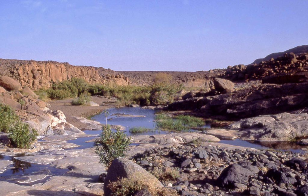 Hoggar,guelta