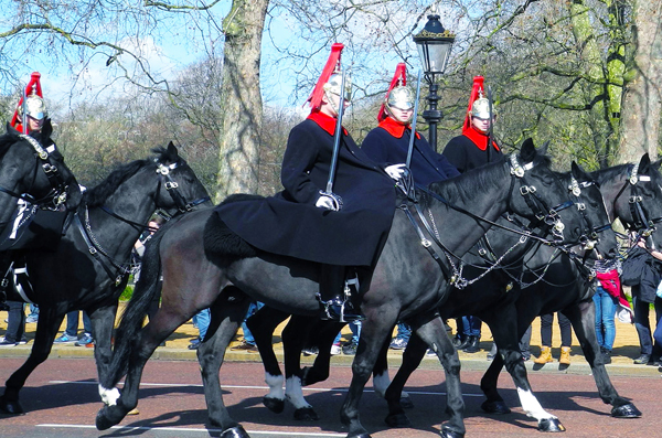 Guardia reale a cavallo