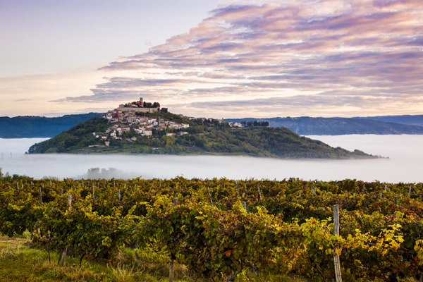 Motovun (Montona) Foto ET Istria © ART Frank Heuer