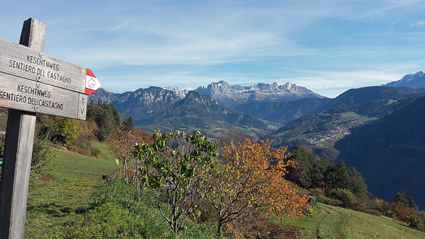  Keschtnweg_Signat_Herbst©Tourismusverein Ritten_Foto_Doris_Obkircher 