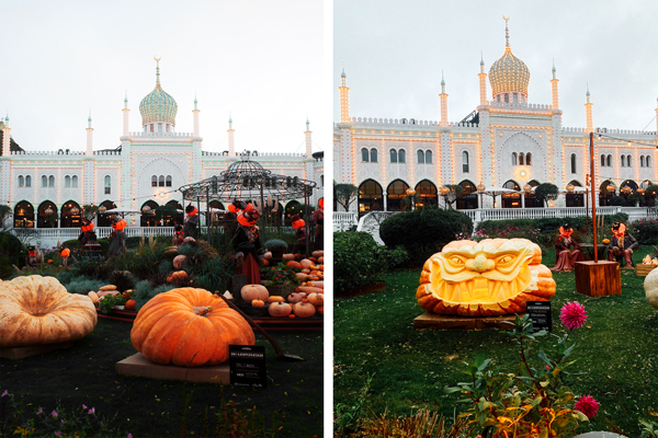 Copenaghen Giardini di Tivoli-esposizione di zucche giganti