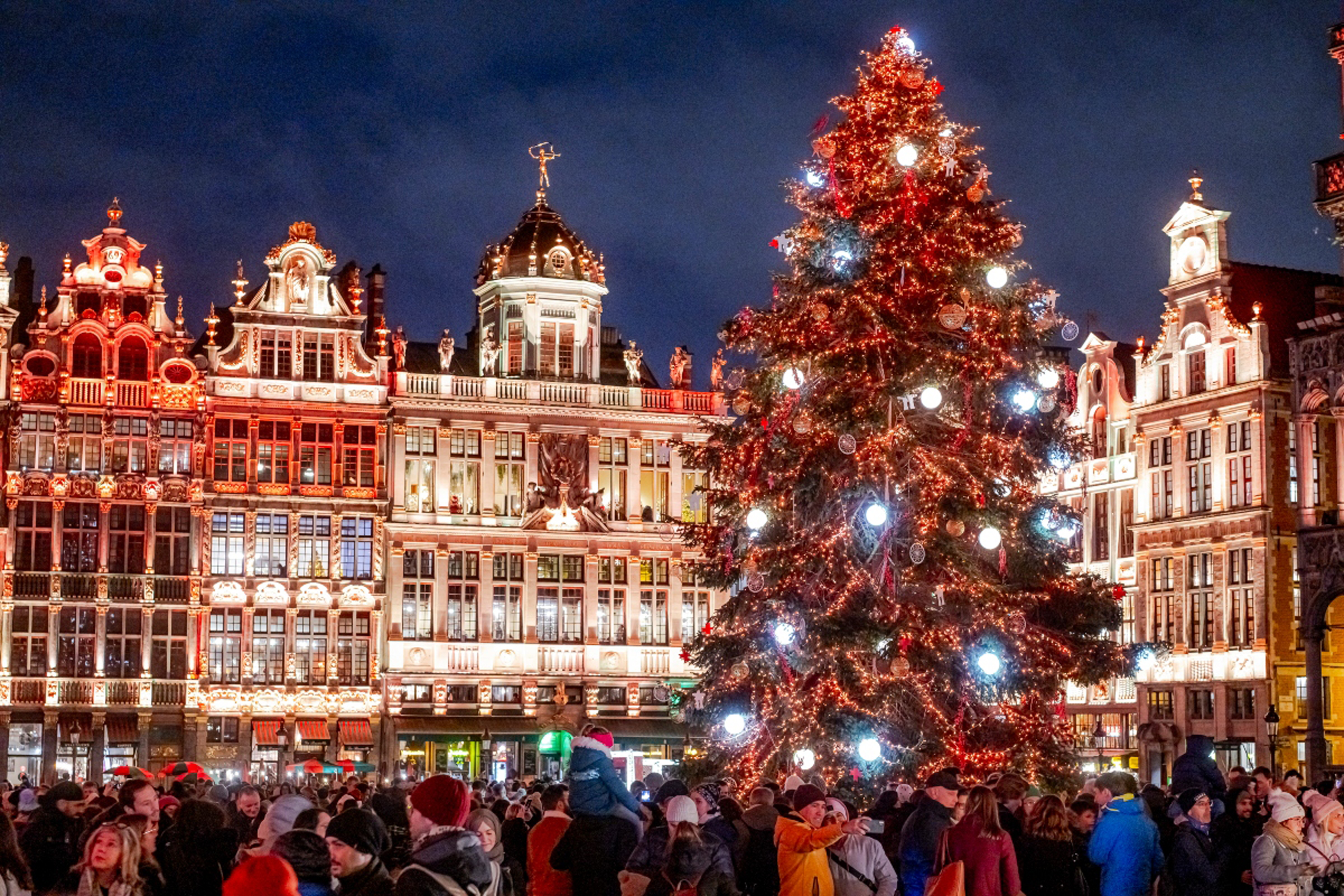 Plaisirs d'Hiver - Winterpret - Winter Wonders 2023
Grand-Place - Grote Markt
sapin de Noël - kerstboom - Christmas tree
© Eric Danhier - 2023