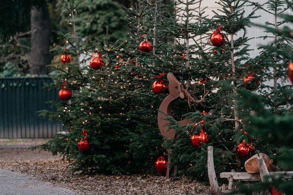  Mercatino_Natale_Bolzano_Fiorentino 3