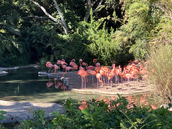 San Diego Zoo